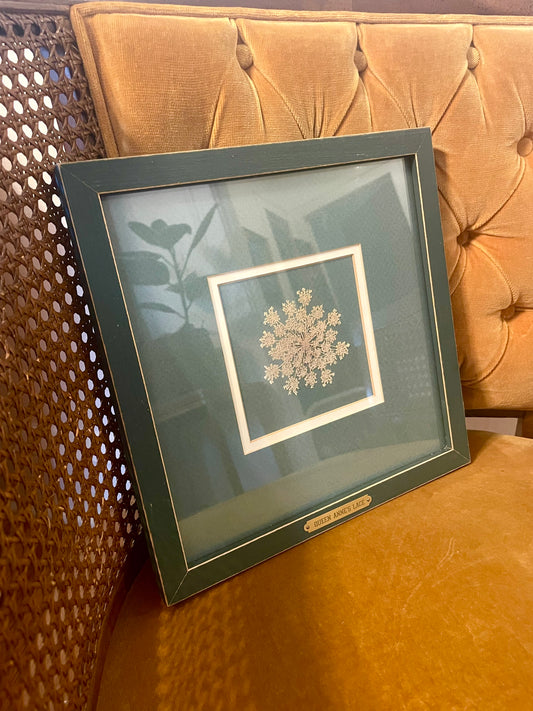 A square framed pressed Queen Anne’s Lace flower on teal background, housed in a distressed dark teal frame with gold placard, styled on a gold velvet armchair.