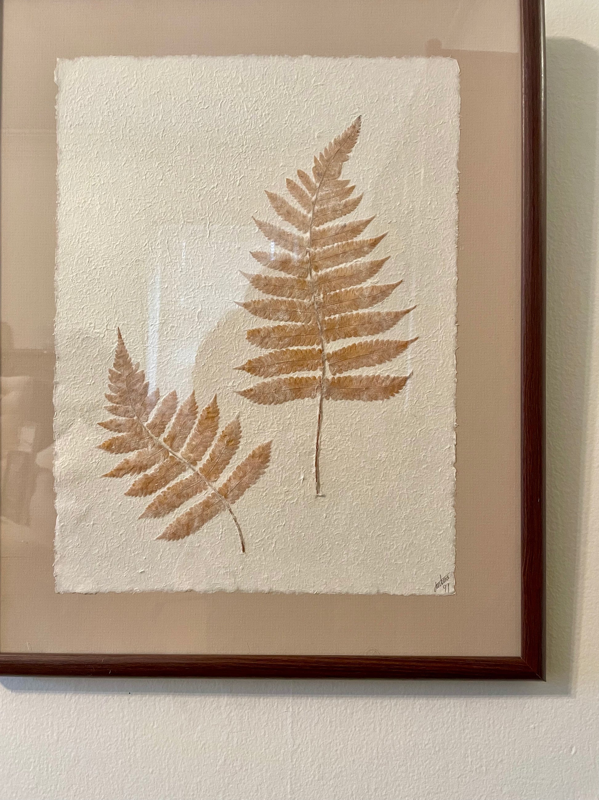 Framed botanical wall art featuring two pressed fern leaves in warm tan and brown tones on textured off-white paper, enclosed in a dark brown wooden frame with clear glass.