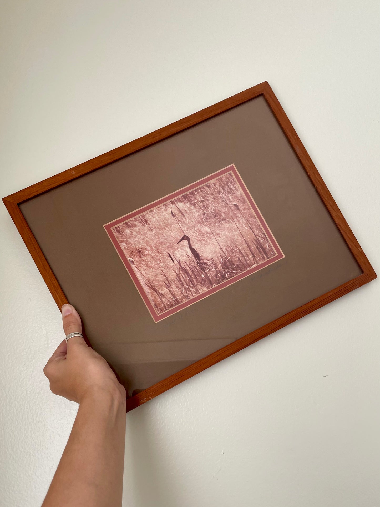 A hand holding a vintage photograph with a brown wood frame with a an olive green-brown mat and a sepia-toned art print depicting a sandhill crane.