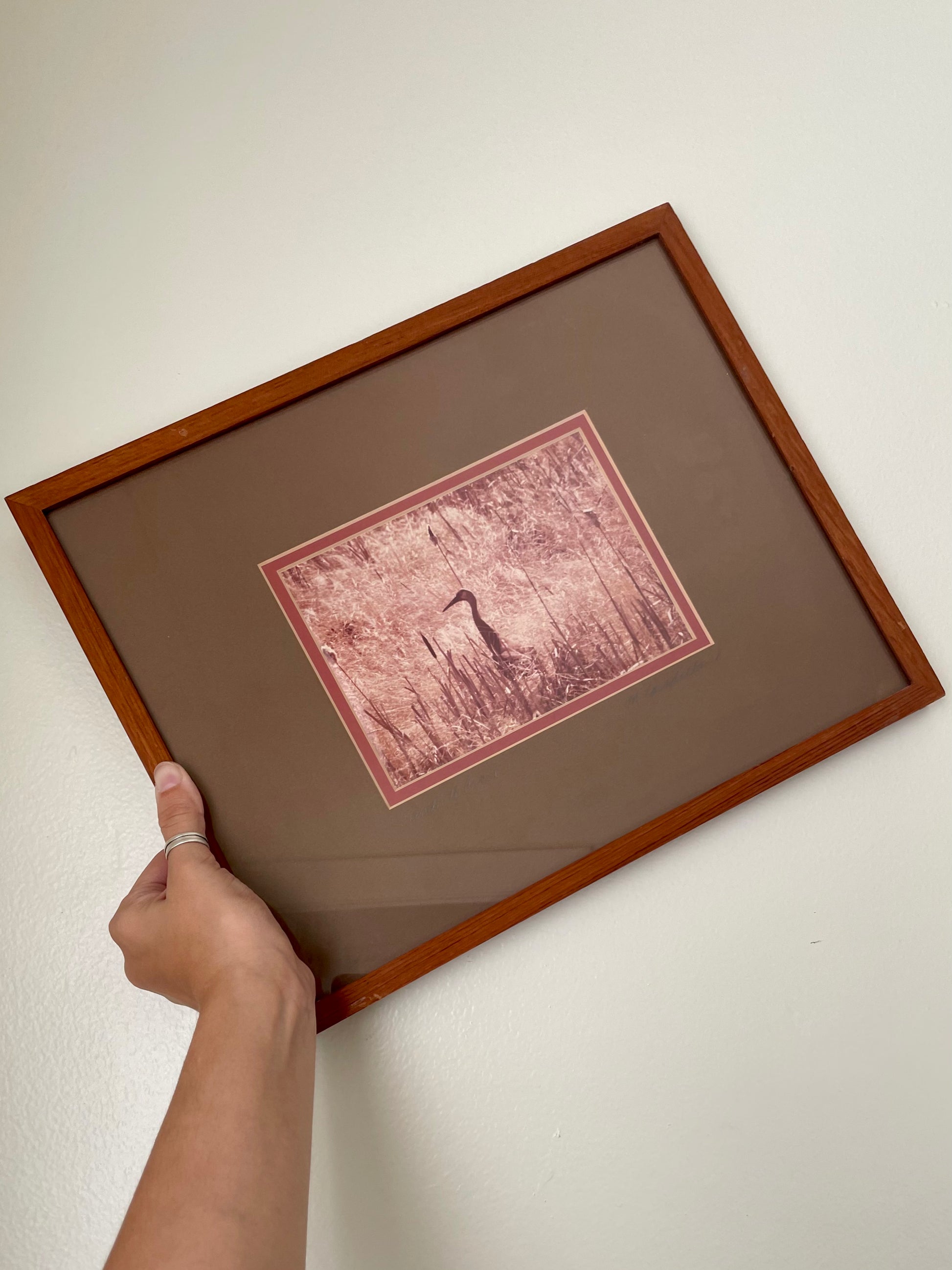 A hand holding a vintage photograph with a brown wood frame with a an olive green-brown mat and a sepia-toned art print depicting a sandhill crane.