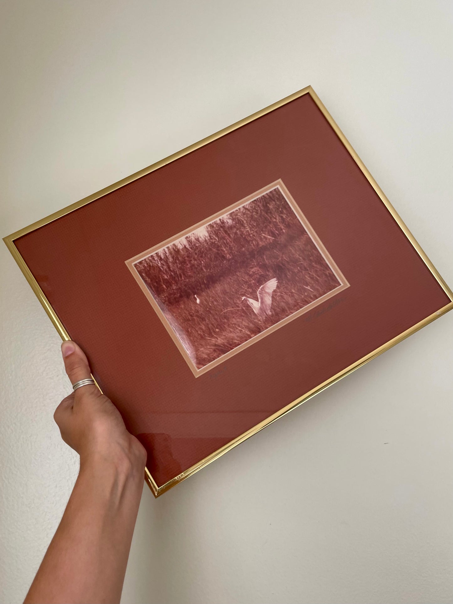 A hand holding a framed vintage photograph of an egret with a deep reddish-brown mat and a thin gold frame, against a plain off-white wall.
