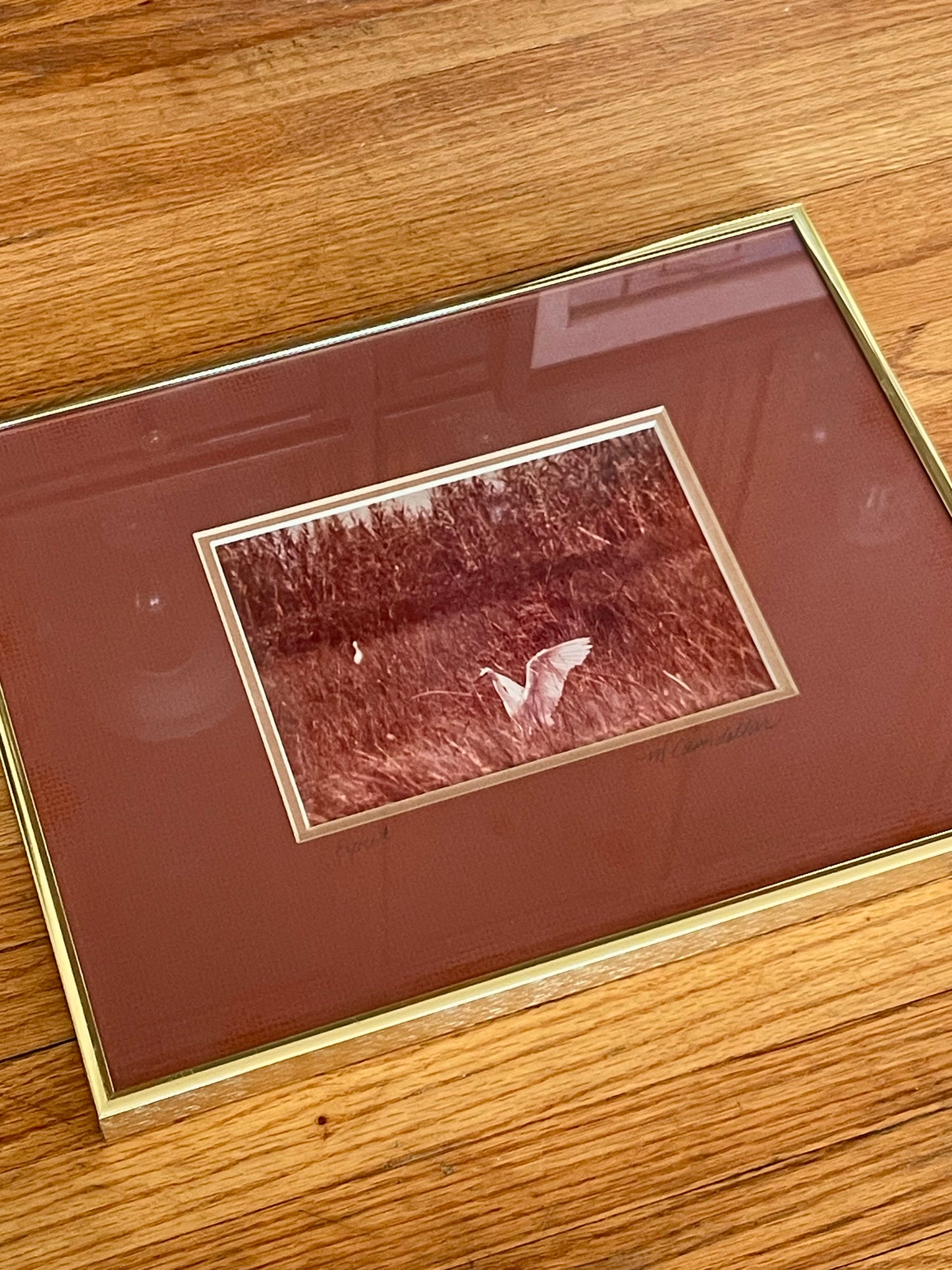 A framed art print featuring a white egret in a reddish-brown grassy field, matted with a wide reddish-brown border and a thin gold frame, displayed on a wooden surface.