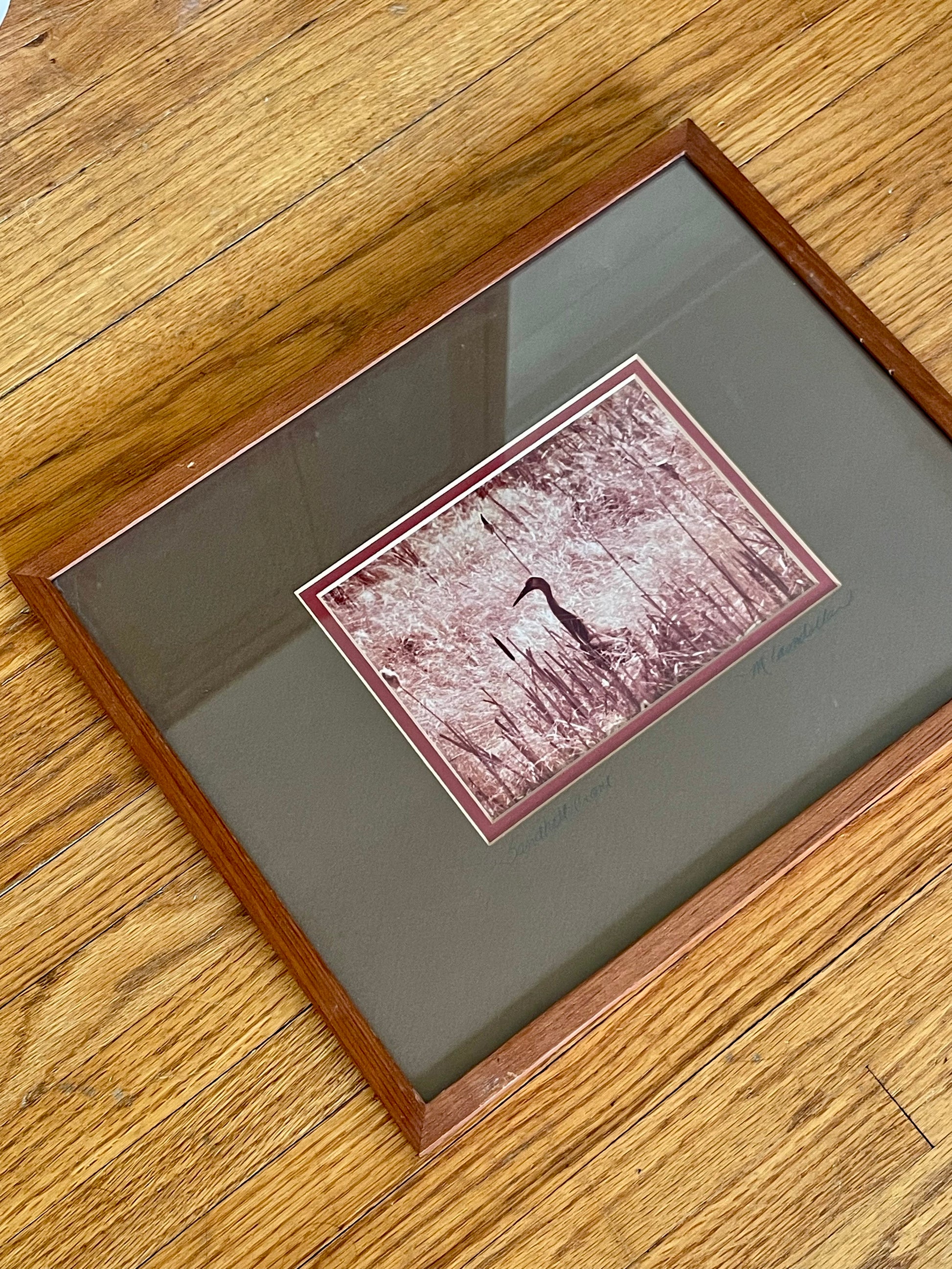A framed art print featuring sandhill crane, displayed on a wooden floor. The photo is bordered by a reddish frame and set within an olive green-brown mat and a warm brown wooden frame.