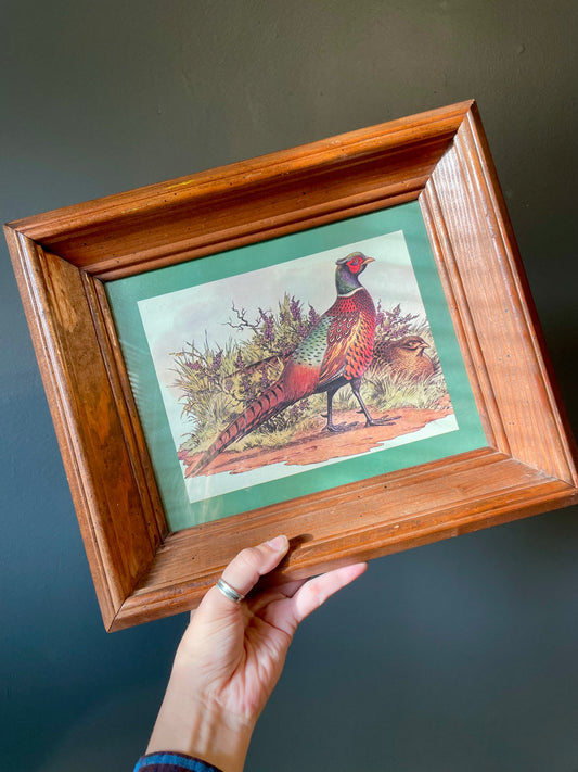 A hand holds a framed vintage print illustration of a pheasant bird. The artwork features a green border and a reddish-brown wooden frame, set against a dark gray wall.