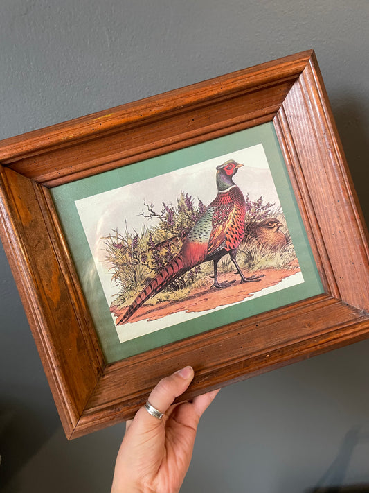 A hand holds a framed vintage print illustration of a pheasant bird. The artwork features a green border and a reddish-brown wooden frame, set against a dark gray wall.