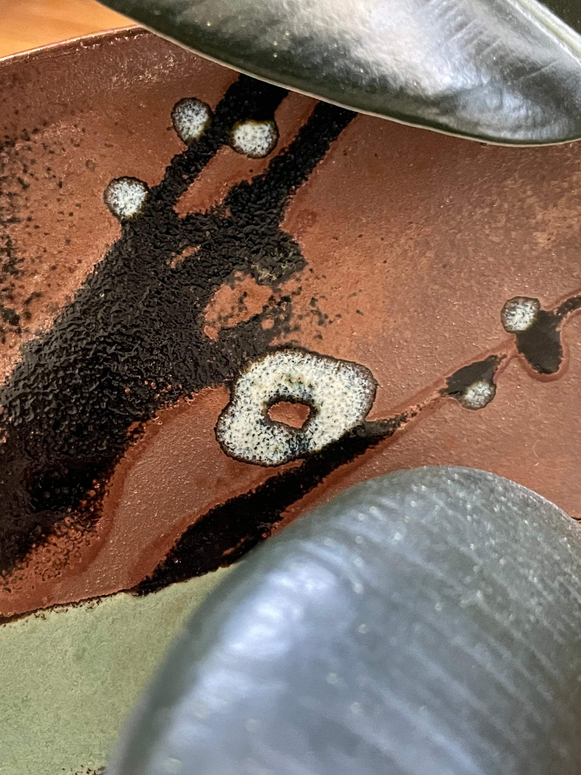 Close-up of a ceramic plate showing a textured copper brown glaze with black abstract splatters, white speckled accents, and a dark rubber plant leaves at the edges of the photo.
