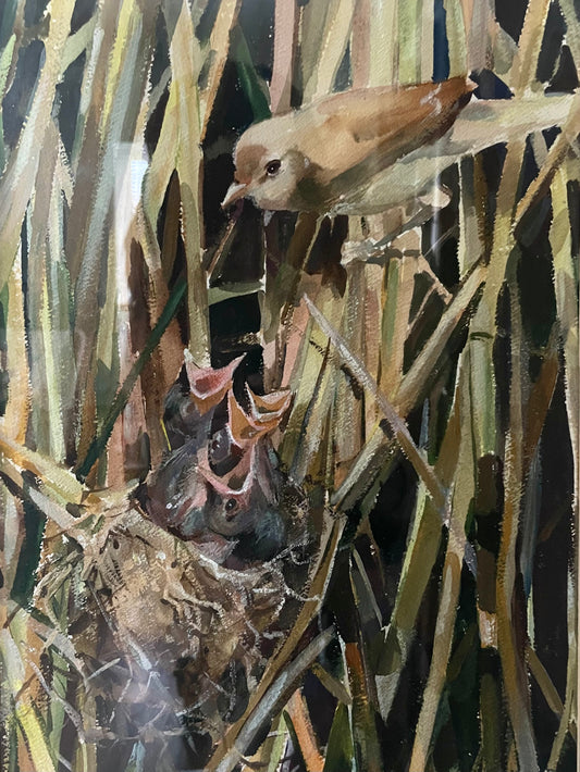 A painted wildlife scene showing a brown bird perched above a nest with four open-mouthed chicks among tall reeds.