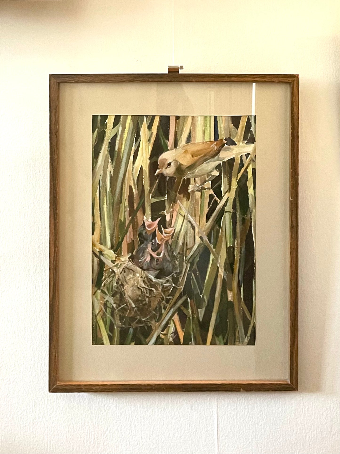 A framed watercolor painting of a bird and its nestlings hanging on a white wall.