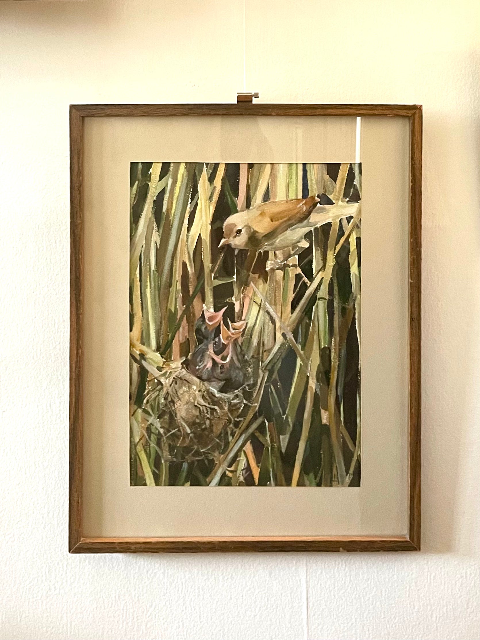 A framed watercolor painting of a bird and its nestlings hanging on a white wall.