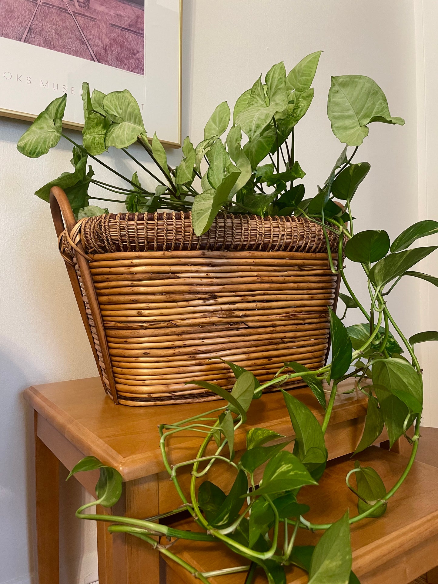 A green leafy houseplant arranged in a woven brown coiled rattan basket, placed on a wooden table against an indoor wall.